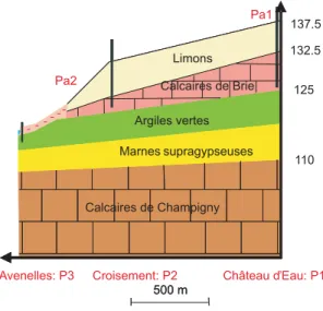 Figure 8: Schéma de synthèse de la structure de subsurface du transect Avenelles