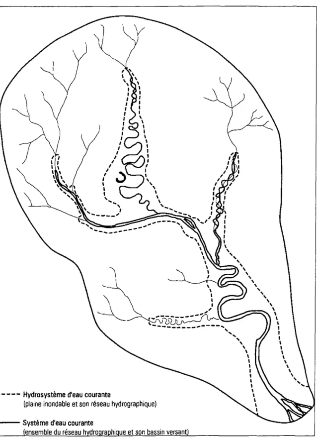 Figure 1.1 Système et hydrosystème d'eau courante (d'après Amoros et Petts, 1993).