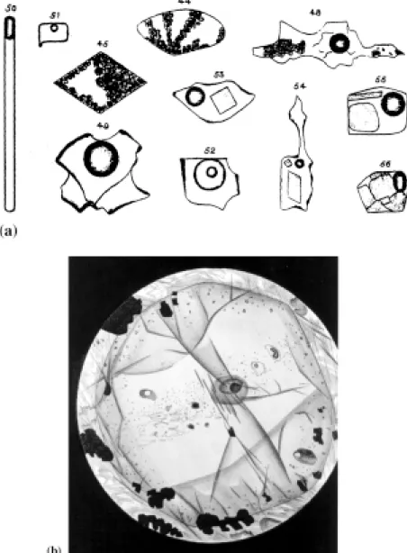 Figure 1. Premières observations de  lames minces  au  microscope.  (a)  Inclusions  fluides  et vitreuses par H