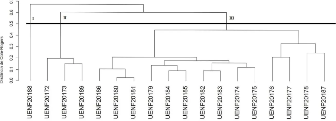Figura 2 – Dendrograma de dissimilaridade genética de 18 acessos de araçazeiro,  estabelecido  pelo  método  UPGMA,  utilizando-se  a  distância  de  Cole-Rodgers,  obtido a partir de 33 descritores qualitativos