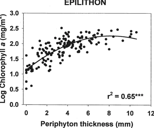Figure 3: Relationship between two different methods of estimating epilithon biomass: