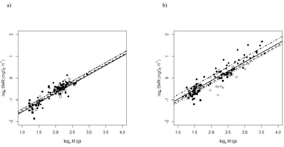 Figure 3: Relationship between fish mass and standard metabolic rate for the various treatments under acclimation temperature of  (a) 15 °C and (b) 20 °C: Cascapedia River and constant thermal regime (□, ―), Cascapedia River and fluctuating thermal regime 