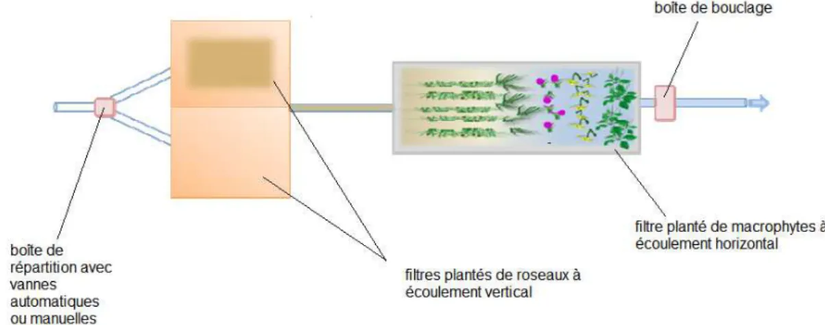 Figure 16 : représentation schématique du jardin d’assainissement d’AQUATIRIS (d’après guide de l’usager AQUATIRIS)  Tableau 18 : Description technique de la filière Jardin d’assainissement FV+FH de AQUATIRIS 