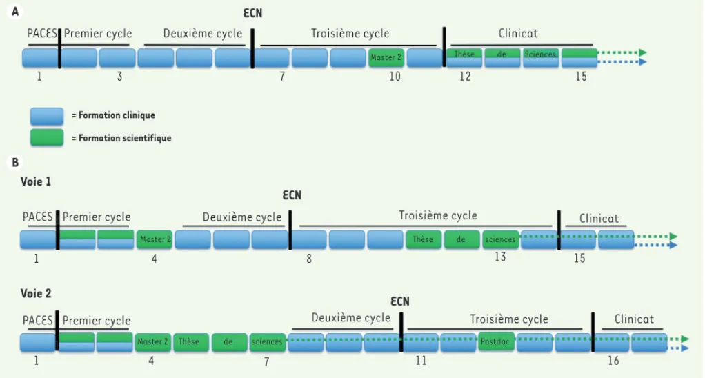 Figure 1. Structures des doubles cursus médecine-sciences en France. A. Représentation chronologique du double cursus classique