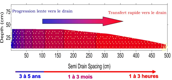 Figure 2: Schéma de la répartition des temps de transfert en parcelle drainée  type sur la base d'un écartement des drains de 10 m, une profondeur des drains 