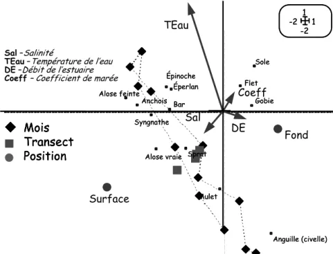 Figure 4. Exemple de résultats d’analyse multivariée concernant la petite faune ichtyologique aux  abord du CNPE (d’après Lobry et al