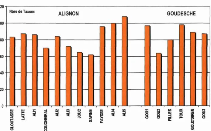 Fig. 9 : Graphe récapitulatif des taxons recensés entre Mai 2000 et Juillet 2002