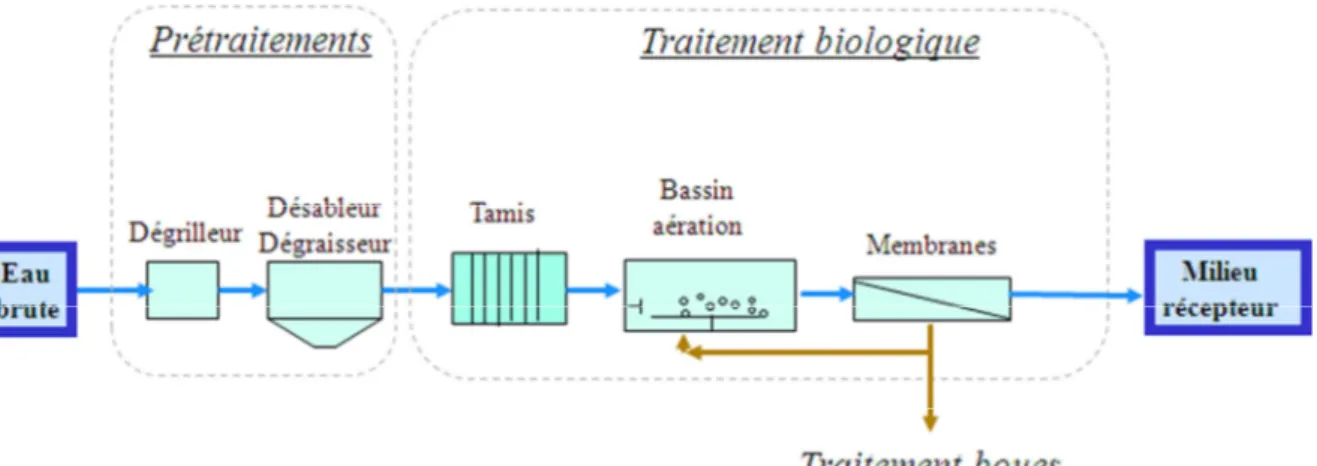 Figure 6 : Schéma du site B w  (BRM) 