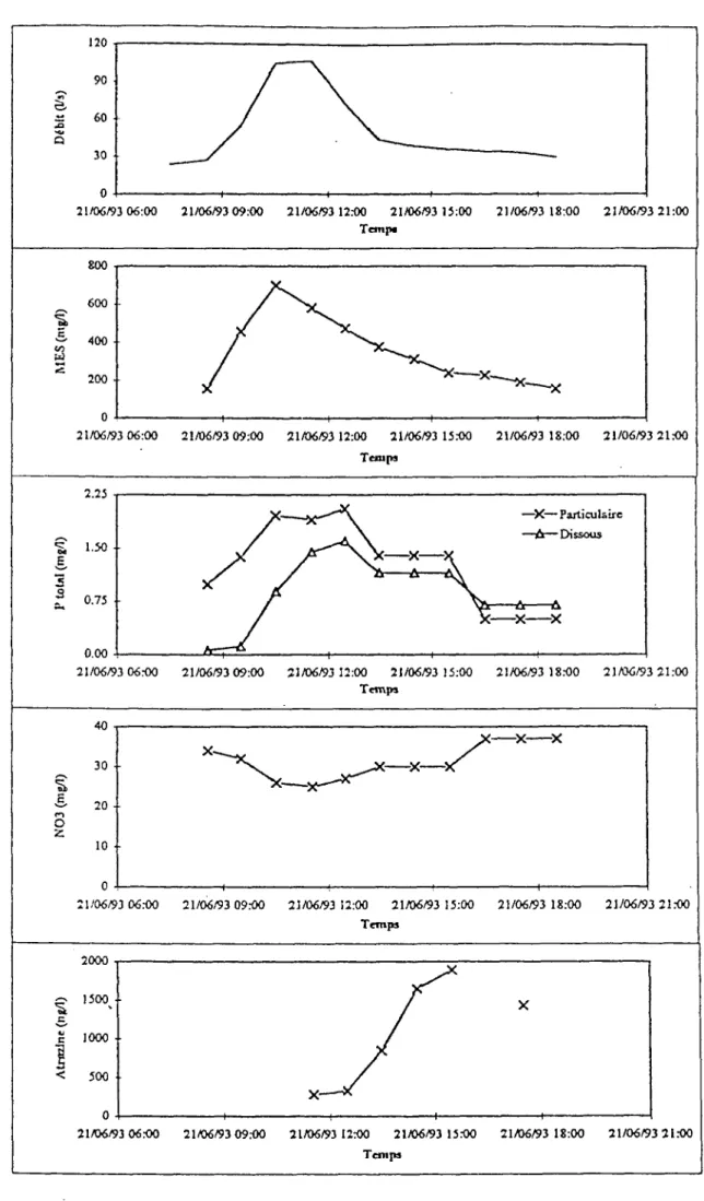 Figure 3.2 : Transfert de polluants sur le bassin du Ruiné: crue 2