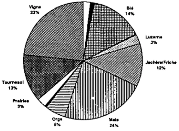 Figure 6: Principales cultures dans le BV du RUINE ( Assolement de l'année 1994) L'évolution des apports en Azote et Phosphore montrent une stabilité des pratiques culturales, les variations constatées de 91 à 94 sont essentiellement dues à l'apparition de