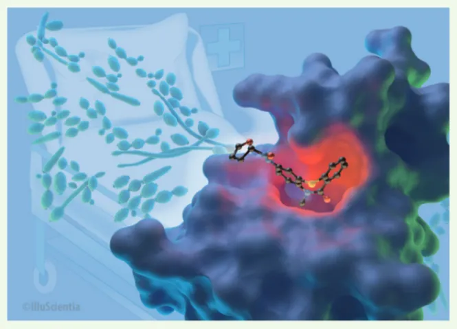 Figure 2. Modèle tridimensionnel du premier bromodomaine de Bdf1, en complexe avec un inhibi- inhibi-teur spécifique (© IlluScientia)