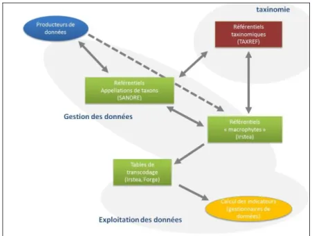 Figure 1 : Interrelations et spécificité des différents référentiels nécessaires dans la mise en œuvre des méthodes d’évaluation  hydrobiologique