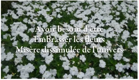 Figure 2. Germaine Proust, «Avoir Besoin d’ Être»,  Mes  Contre-Haïkus,  mai  2019,  capture  d’écran   reproduite  avec  l’aimable autorisation de J.P