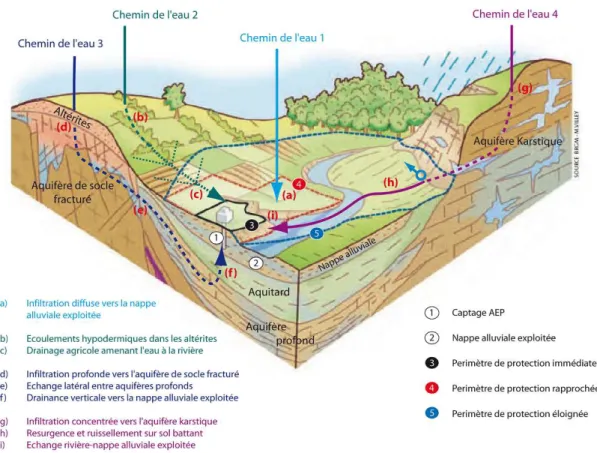 Figure 1 : Illustration de différents chemins de l’eau atteignant un même captage (source : BRGM) 