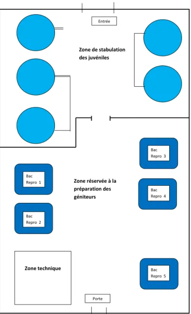 Figure 2 : Le Bac 1 en cours de réfection (Août 2015) - (© Irstea, Ph. Jatteau) 