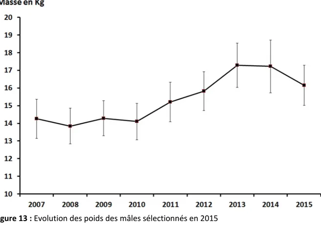 Figure 13 : Evolution des poids des mâles sélectionnés en 2015 
