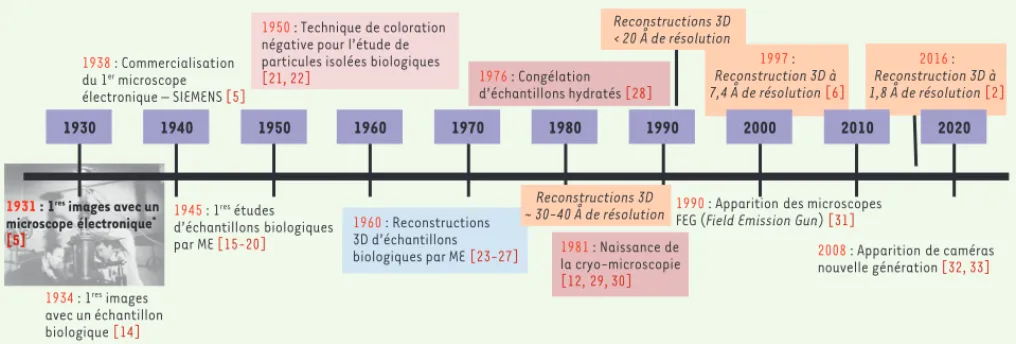 Figure 3. Frise chronologique montrant les étapes principales majeures franchies par la microscopie électronique (ME) structurale en biologie depuis  1930 ( * photo : Max Knoll et Ernst Ruska, 1944).