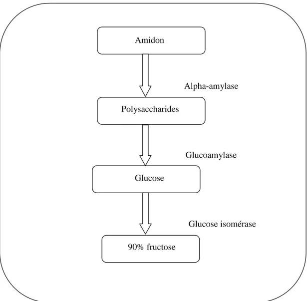 Figure 5: Préparation des sirops à haute teneur en fructose (HANOVER et WHITE, 1993). 