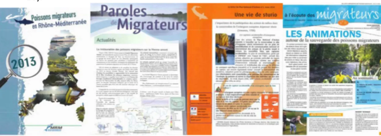 Figure  10 :  Exemples  de  couvertures  des  journaux  diffusées  par  des  associations  « migrateurs »  ou  des  plans  d’action 