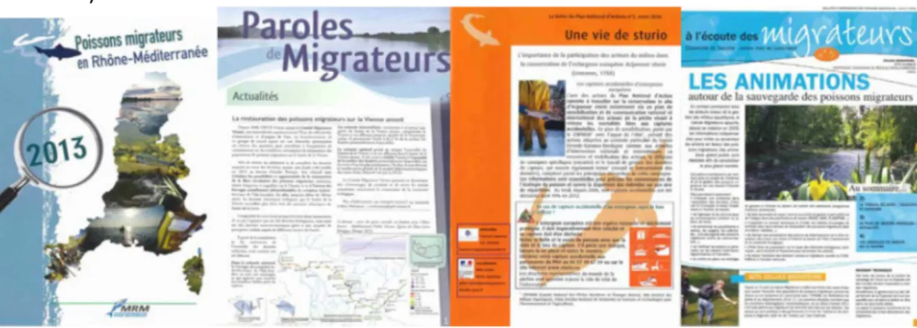 Figure  10 :  Exemples  de  couvertures  des  journaux  diffusées  par  des  associations  « migrateurs »  ou  des  plans  d’action 