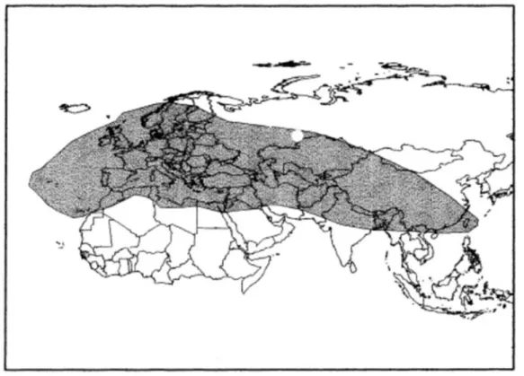 Figure 20 : Distribution de la section Origanum (SKOULA et HARBORNE, 2002) 