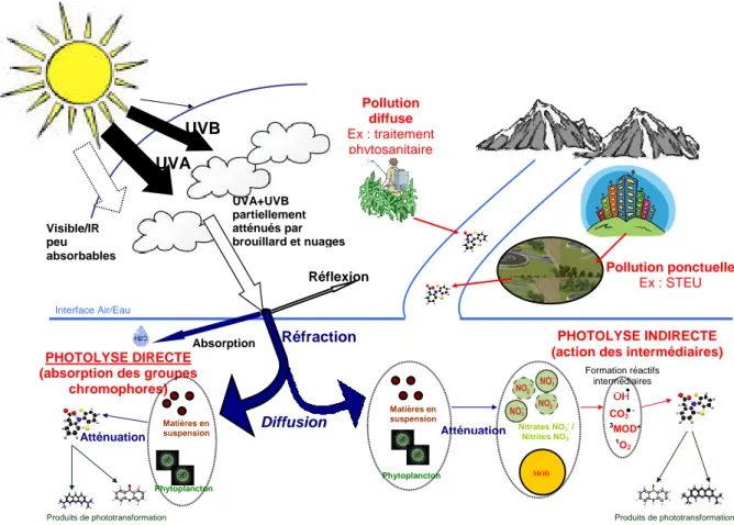 Figure 2 : Représentation schématique de l’action de rayons lumineux sur des molécules organiques  photosensibles contenues dans l’eau 