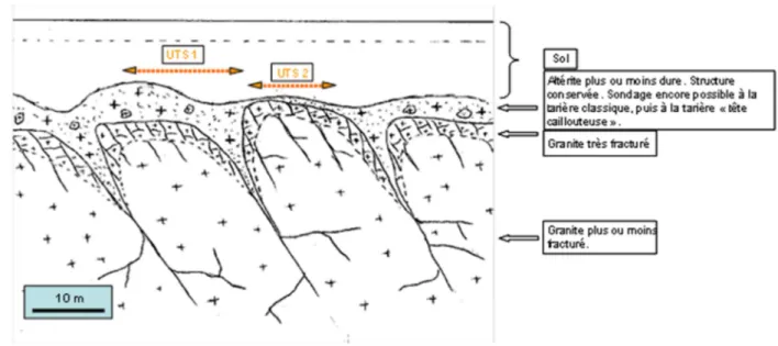 Figure 1. Représentation schématique de l’UCS 1 avec différenciation des UTS 1 et 2 (Van den Bogaert 2011)