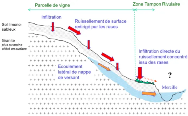 Figure 5. Schéma des processus de transfert potentiels à la surface et dans le sol du versant d’étude