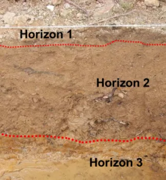 Figure 11. Description succincte des différents horizons du sol du site de Ruyère.  