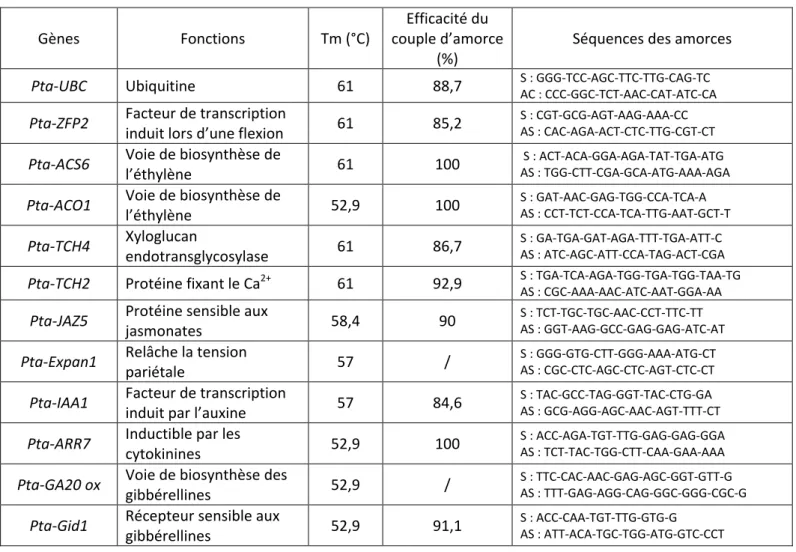 Tableau 2 : Liste des gènes d’intérêts étudiés, leurs fonctions et les amorces utilisées pour les amplifications d’ADNc
