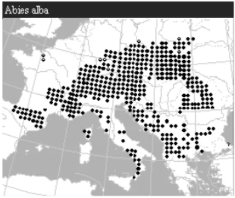 Figure  3 :  Aire  de  répartition  d’Abies  alba,  Atlas Flora Europeae, 1998 