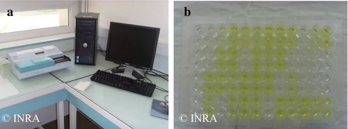 Figure 12 : a) Spectrophotomètre relié à l’ordinateur ; b) Plaque ELISA après le  dépôt du substrat 