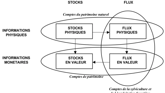 Figure 4 : Liens entre comptes de stock et de flux, physiques et monétaires 