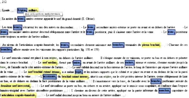 Figure 4.5 Saisie d'écran montrant la visualisation de l'annotation en format HTML 