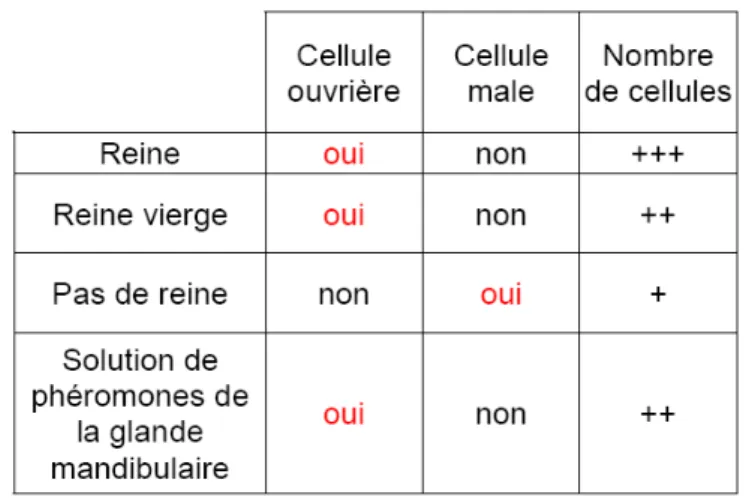 Tableau 2: Tableau récapitulatif des expériences de Ledoux et al. (2001)   (Source : Geoffrey MONTES) 