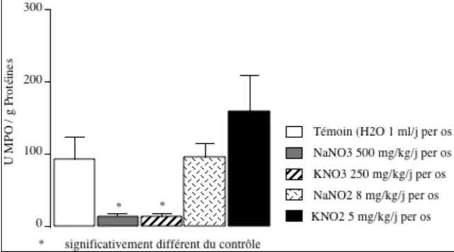 Figure 11 : Effets de l'administration pendant 14 jours de sels de nitrate et de nitrite  sur l'activité MPO de la paroi intestinale (Valeurs moyennes ± ESM ; n=6)  