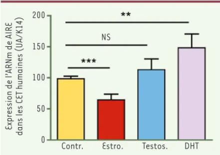 Figure 2. Effet de l’œstradiol (Estro.), de la testostérone (Tes- (Tes-tos.) et de la DHT (10 -9  M) sur l’expression de AIRE dans les  cellules épithéliales thymiques médullaires (CET) en culture