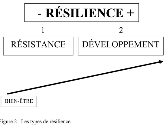 Figure 2 : Les types de résilience 