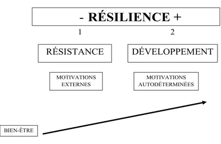 Figure 3 : Deux types de résilience aux motivations différentes 