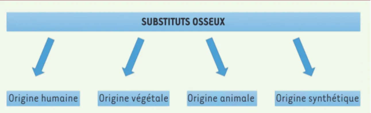 Figure 1.  Familles de substituts osseux dispo- dispo-nibles.