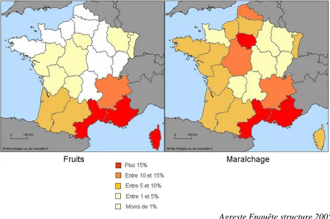 Figure 3.  Part des fruits et légumes dans la production agricole en valeur par  région en 2006 3