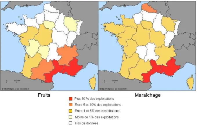 Figure 4.  Part des exploitations agricoles qui produisent fruits et de produits  du maraîchage par région en 2005 