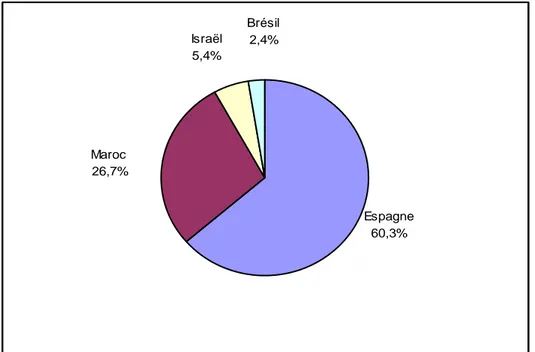 Figure 20.  Les importations de melon de la France par origines (2006)  Espagne 60,3%Brésil 2,4%Israël5,4%Maroc 26,7%