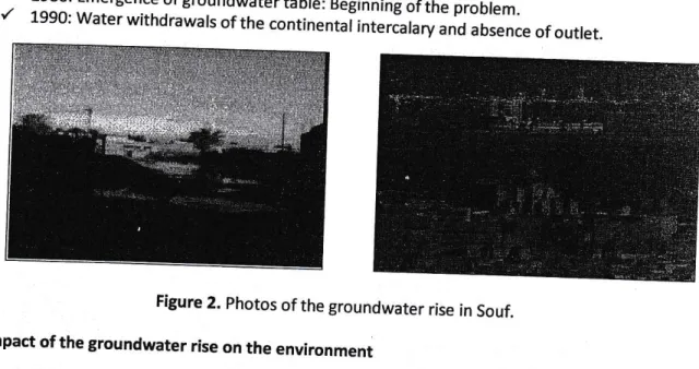 Figure  2. photos of  the  groundwater  rise in Souf.