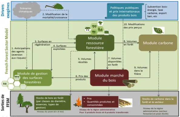 Figure 2.2 : Fonctionnement général du modèle FFSM et couplage de ses différents modules 