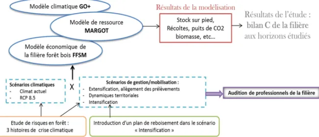 Figure 2.4 : Démarche générale de l’étude pour la simulation du potentiel d’atténuation du changement  climatique par la filière forêt-bois française à l’horizon 2050 