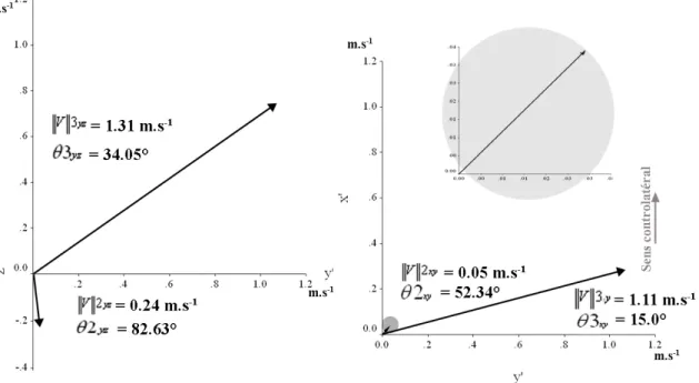 Figure 48 : Vecteurs vitesse au cours du premier appui, dans le plan sagittal (à gauche) et dans le plan  transverse (à droite) pour les experts 