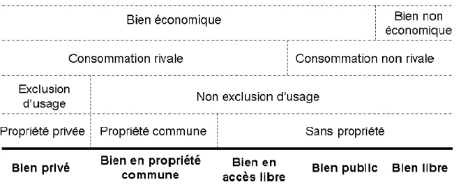 Figure 1 : Typologie des biens 