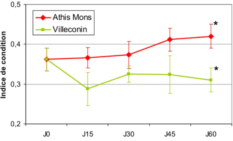 Figure 8: Evolution de l'indice de condition au cours de l'exposition. *: valeurs significativement  différentes entre les 2 sites (Z-Test, p&lt;0.01) 