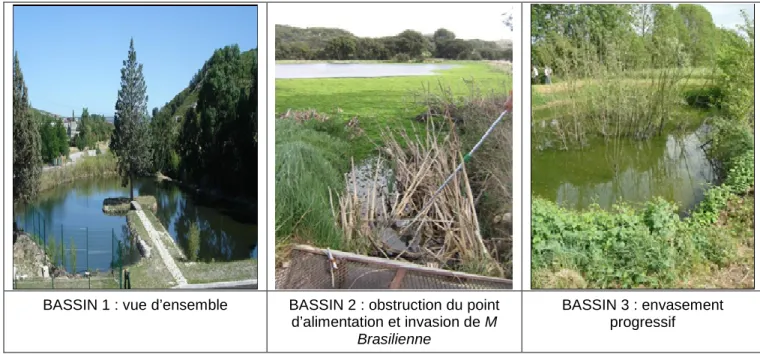 Tableau 5 : Vues des dix ZRV de type « BASSIN » 